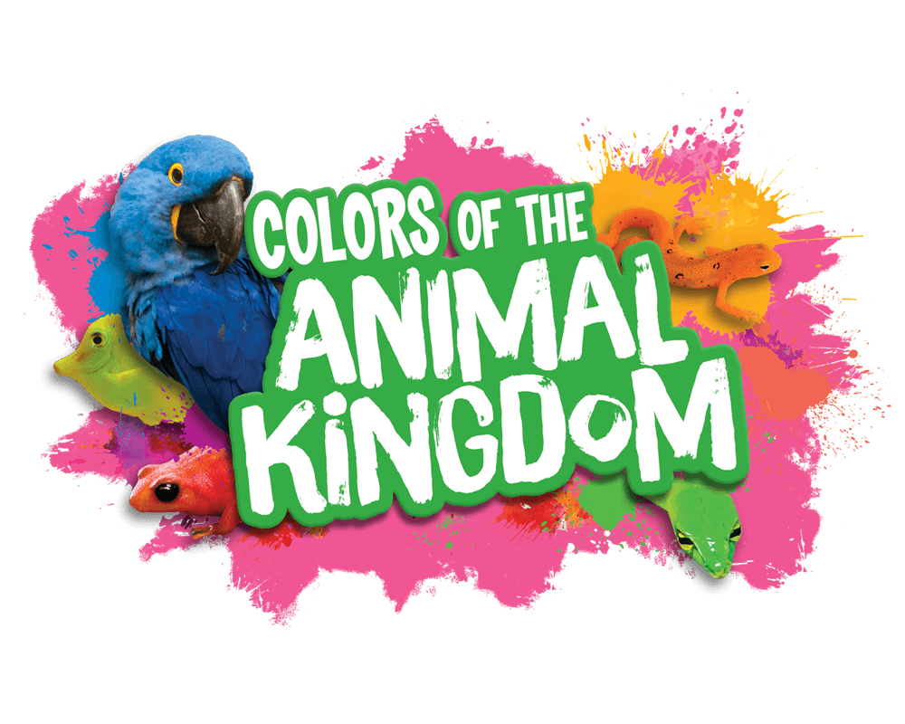 Colors of the Animal Kingdom - Yowie World